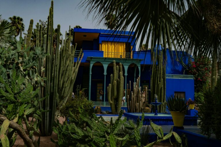 Vibrant blue building surrounded by cacti and palm trees